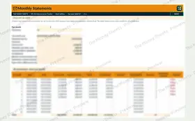 Monthly statements