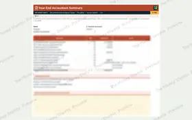 Year-end accountant summary